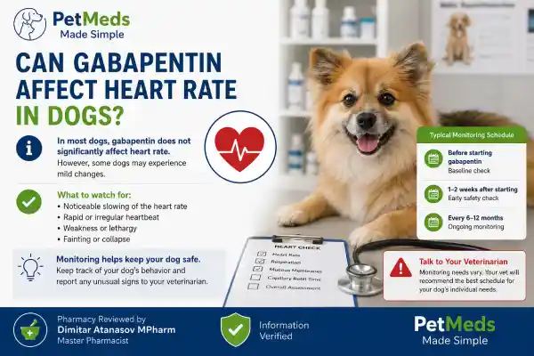 Can Gabapentin Affect Heart Rate in Dogs?