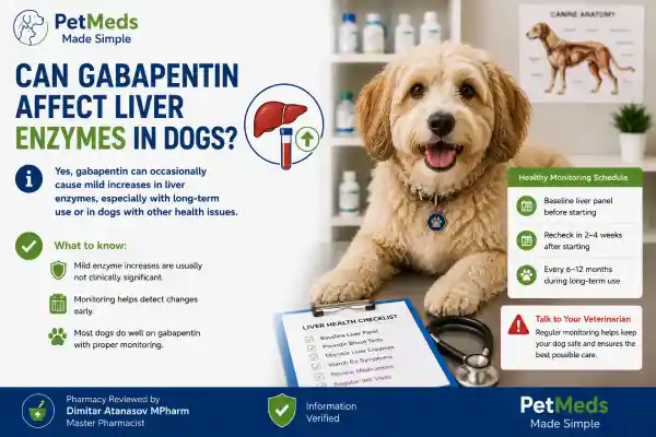 Can Gabapentin Affect Liver Enzymes in Dogs
