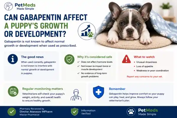 Can Puppies Take Gabapentin Safely?
