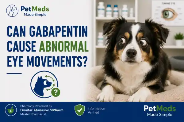 Can Gabapentin Cause Eye Changes in Dogs