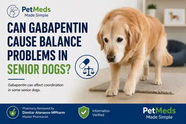 Can Gabapentin Cause Balance Problems in Senior Dogs?