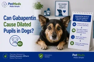 Can Gabapentin Cause Dilated Pupils in Dogs