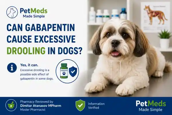 Can Gabapentin Cause Excessive Drooling in Dogs