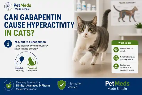 Can Gabapentin Cause Hyperactivity in Cats