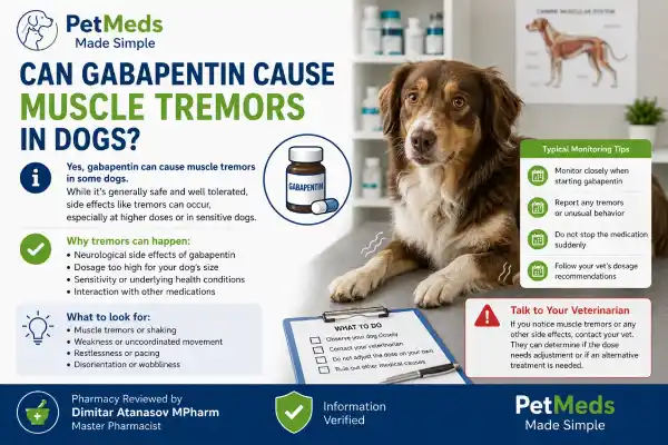 Can Gabapentin Cause Muscle Tremors in Dogs