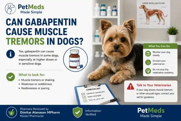 Can Gabapentin Cause Muscle Tremors in Dogs