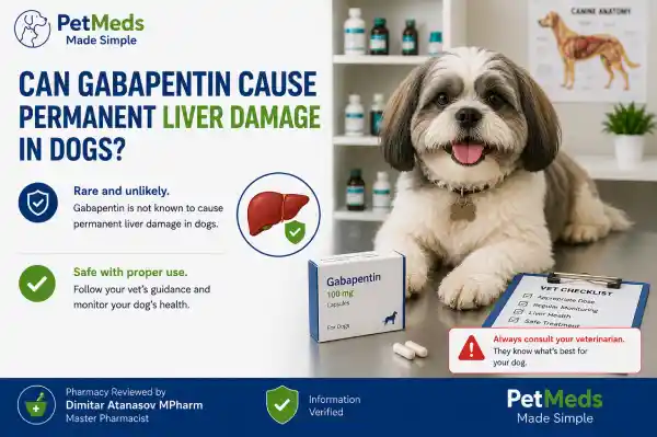 Can Gabapentin Cause Permanent Liver Damage in Dogs