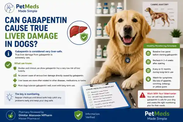 Can Gabapentin Affect Liver Enzymes in Dogs