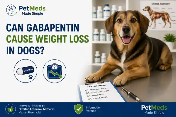 Can Gabapentin Cause Weight Loss in Dogs