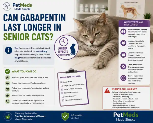 How Long Does Gabapentin Last in Cats