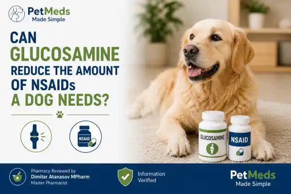 Can Dogs Take Glucosamine With NSAIDs?