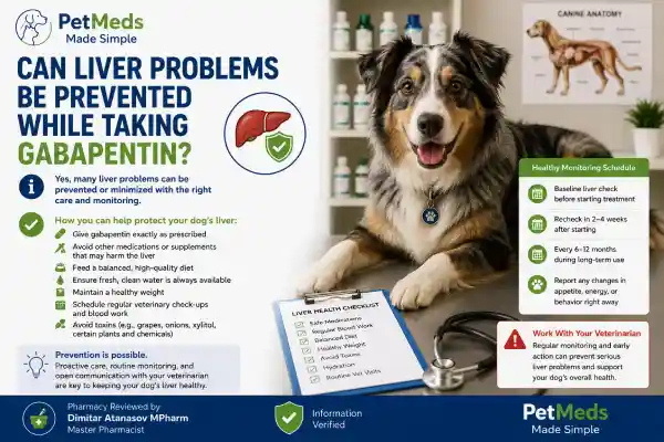 Can Gabapentin Affect Liver Enzymes in Dogs
