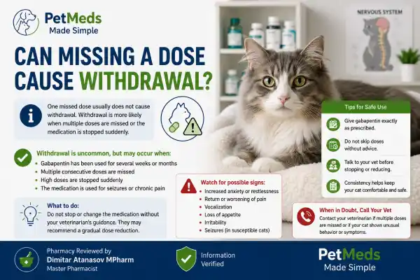 Can Cats Miss a Dose of Gabapentin