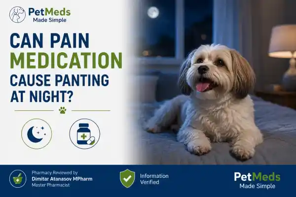 Can Pain Medication Cause Panting at Night