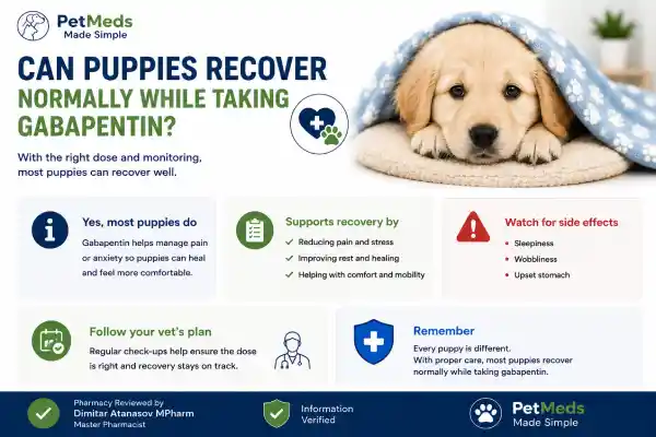 Can Puppies Take Gabapentin Safely?