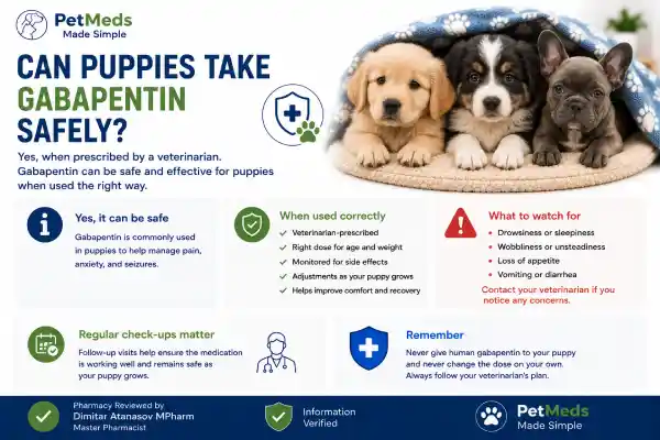 Can Puppies Take Gabapentin Safely?