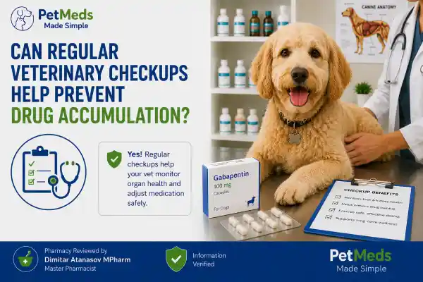 Does Gabapentin Build Up in a Dog's System