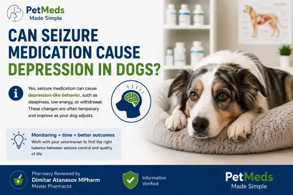 Can Seizure Medication Cause Depression in Dogs