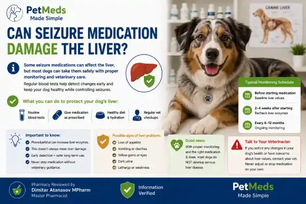 Can Dogs Take Seizure Medication Long-Term Safely