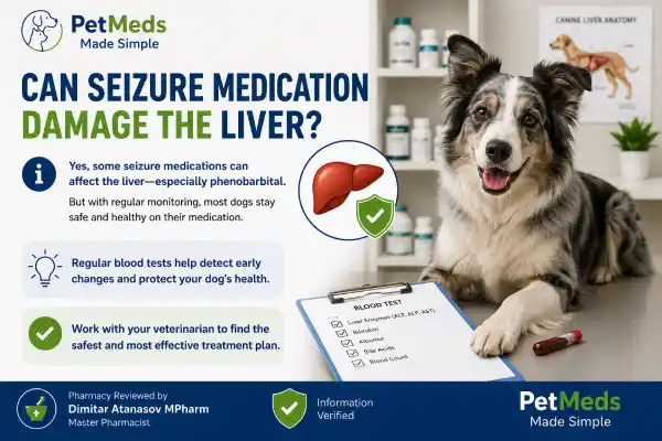 Can Seizure Medication Damage the Liver
