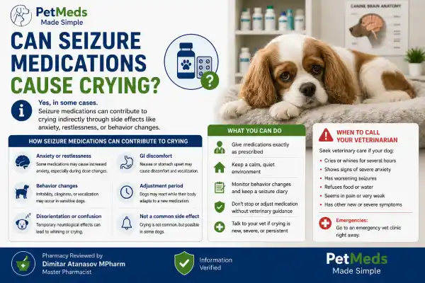 Why Is My Dog Crying After a Seizure