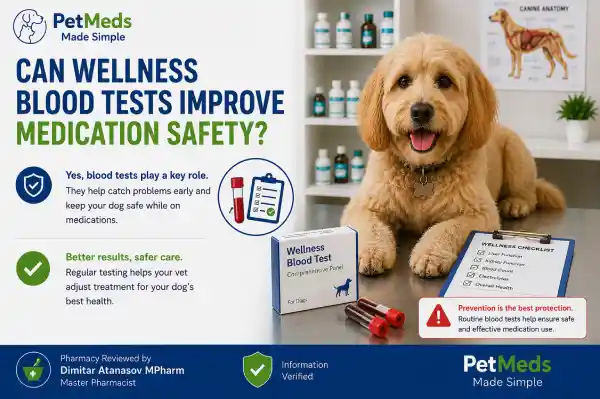 How Often Should Dogs Have Blood Tests While Taking Gabapentin