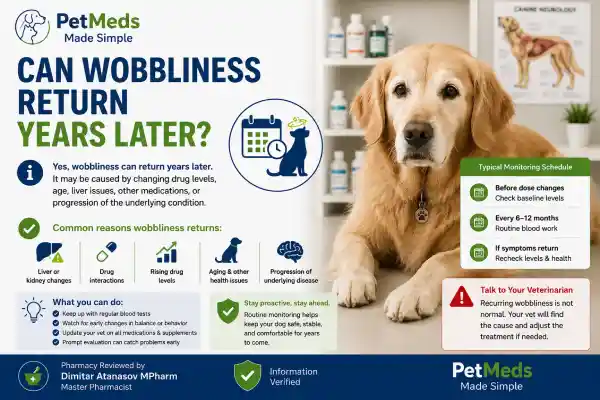 Why Is My Dog Wobbly After Phenobarbital