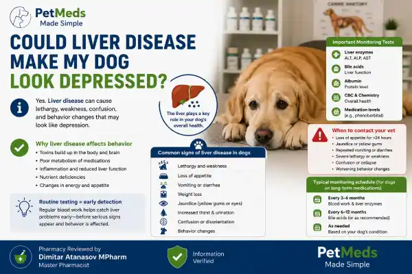 Can Seizure Medication Cause Depression in Dogs