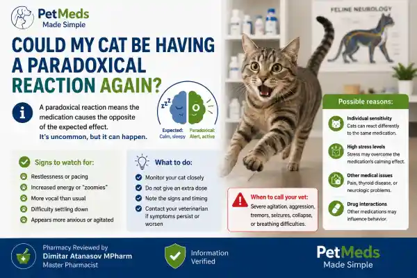 Can Gabapentin Cause Hyperactivity in Cats