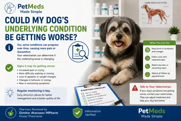 Why Is My Dog Crying Before the Next Gabapentin Dose