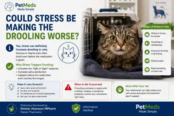 Why Is My Cat Drooling After Gabapentin