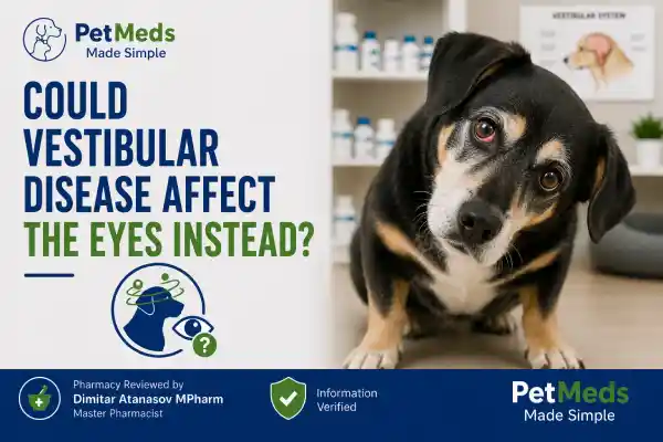 Can Gabapentin Cause Eye Changes in Dogs