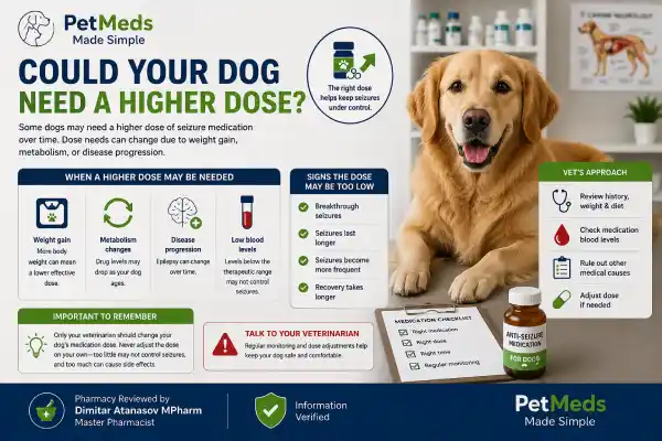 Why Does My Dog Have Breakthrough Seizures