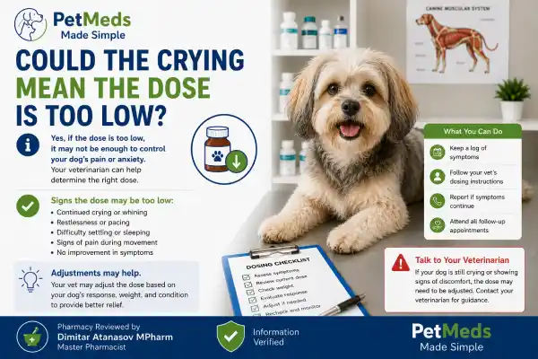 Why Is My Dog Crying Before the Next Gabapentin Dose