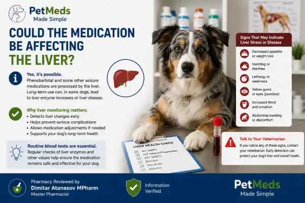 Why Is My Dog Drinking More Water on Seizure Medication