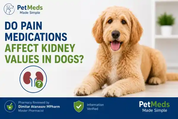Do Pain Medications Affect Kidney Values in Dogs?