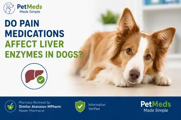 Do Pain Medications Affect Liver Enzymes in Dogs