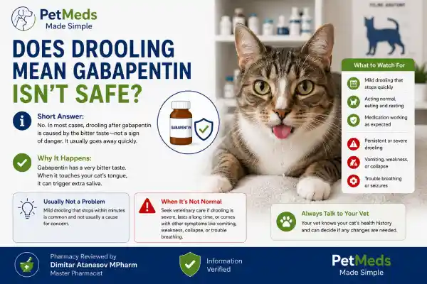 Why Is My Cat Drooling After Gabapentin