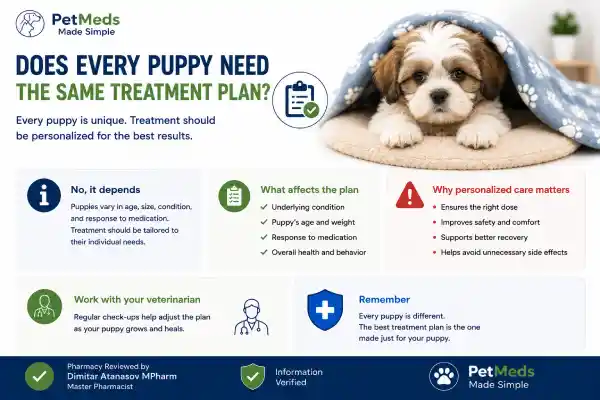 Can Puppies Take Gabapentin Safely?