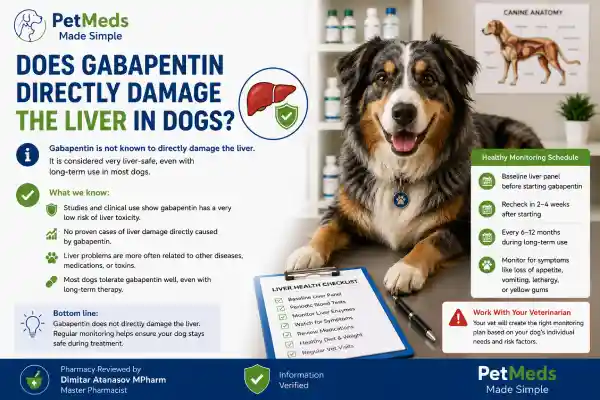 Can Gabapentin Affect Liver Enzymes in Dogs