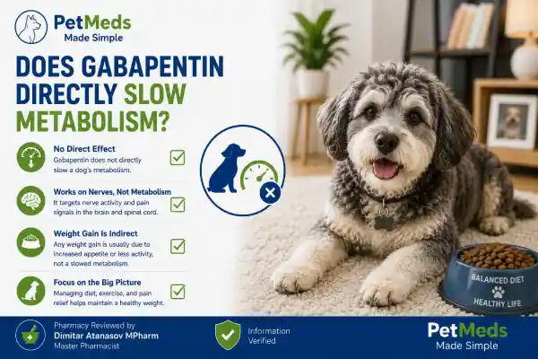 Can Gabapentin Cause Weight Gain in Dogs