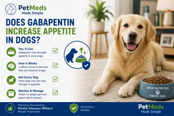 Can Gabapentin Cause Weight Gain in Dogs