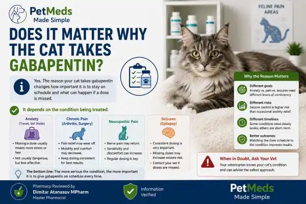 Can Cats Miss a Dose of Gabapentin