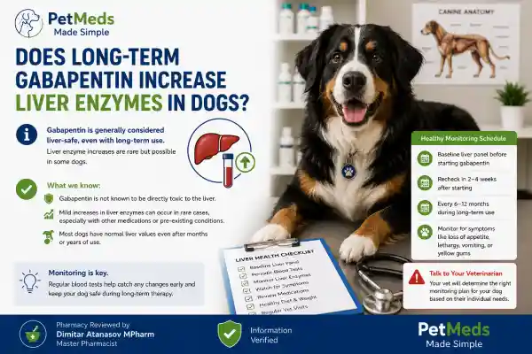 Can Gabapentin Affect Liver Enzymes in Dogs