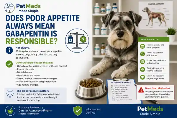 Can Gabapentin Cause Weight Loss in Dogs