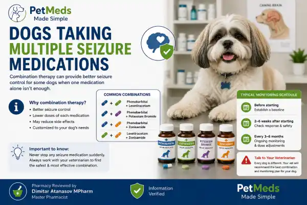 Can Seizure Medication Damage the Liver