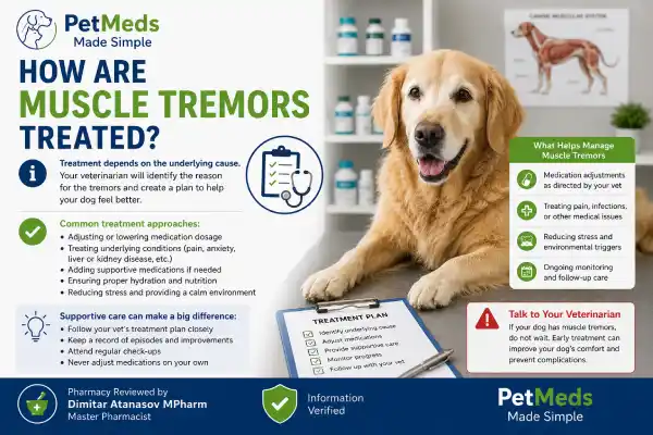 Can Gabapentin Cause Muscle Tremors in Dogs