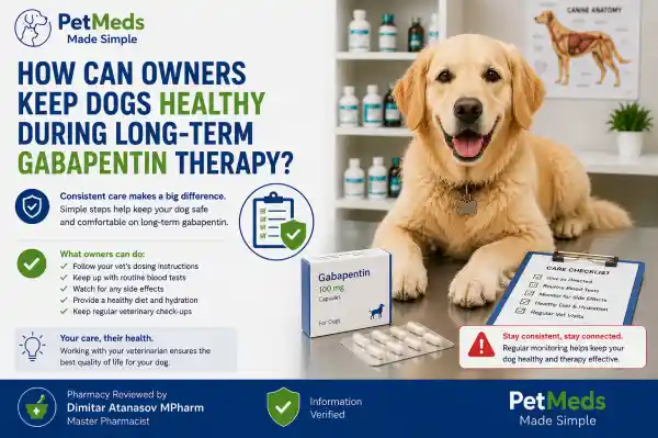 How Often Should Dogs Have Blood Tests While Taking Gabapentin