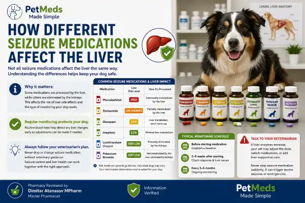 Can Seizure Medication Damage the Liver