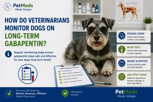 How Do Veterinarians Monitor Dogs on Long-Term Gabapentin